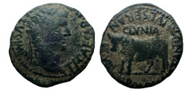 Clunia. Época de Tiberio. As. Unidad. 37-41 d.C. Coruña del Conde (Burgos). (Abh-836). Anv.: Cabeza laureada de Tiberio a derecha, alrededor TI. CÉSAR...