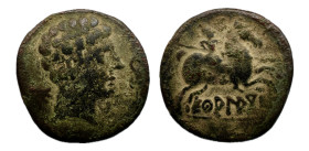 Ekualakos. As. Unidad. 120-20 a.C. Zona de Soria-Guadalajara. (Abh-969). (Acip-1848). (MIB-92/5b). Anv.: Cabeza masculina a derecha, delante delfín, d...