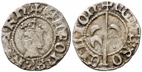 Alfons IV (1416-1458). Perpinyà. Diner. (Cru.V.S. 830.5 var) (Cru.C.G. 2877 var). 0,83 g. Rara. MBC.