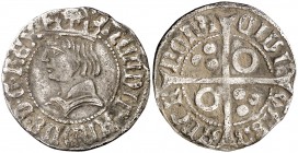 Ferran II (1479-1516). Barcelona. Croat. (Cru.V.S. 1140) (Cru.C.G. 3069a). 3 g. Busto juvenil. MBC.