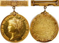 1898 State Department Life Saving Medal. First Class. Julian LS-3. Gold. Genuine (PCGS).
35.8 mm, medal diameter, 51 mm overall including hanger. 600...