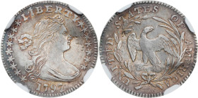 1797 Draped Bust Half Dime. LM-2, V-4. Rarity-4. 16 Stars. AU Details--Damaged (NGC).
Suitably bold in a lightly circulated example of this challengi...