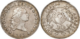 1795 Flowing Hair Silver Dollar. BB-21, B-1. Rarity-2. Two Leaves. EF-45+ (PCGS). CAC. CMQ.
With wisps of sandy olive-russet to dominant light golden...