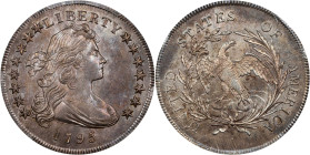 1795 Draped Bust Silver Dollar. BB-51, B-14. Rarity-2. Off-Center Bust. MS-64 (PCGS).
This 1795 BB-51 offers undeniable rarity and strong visual appe...
