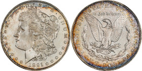 1891-S Morgan Silver Dollar. MS-65 DMPL (CACG).
This gorgeous Deep Mirror Prooflike Gem offers razor sharp striking detail, deep cobalt-blue peripher...