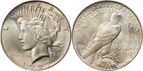 1927-D Peace Silver Dollar. MS-66 (PCGS).
A dusky silver-gray brilliance dances across both sides of this angelic Gem from the Denver Mint. The luste...