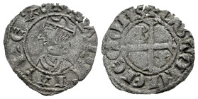 Reino de Castilla y León. Sancho IV (1284-1295). Seisen o Meaja Coronada. Burgos. (Bautista-440 var.). Anv.: + : SANCII : REX :. Ve. 0,49 g. B en el 1...