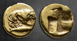 Mysia. Kyzikos circa 500-450 BC. 1/24 Stater EL