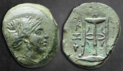 Mysia. Kyzikos circa 300-200 BC. Bronze Æ