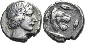 SIZILIEN. LEONTINOI Tetradrachme ø 25mm (16.77g). 455 - 430 v. Chr. Vs.: Kopf des Apollon mit Lorbeerkranz n. r., dahinter Lorbeerblatt. Rs.: ΛΕΟ-ΝΤ-Ι...
