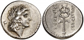(hacia 69 a.C.). Gens Plaetoria. Denario. (Bab. 5) (Craw. 405/5). 3,94 g. Bella. EBC-.