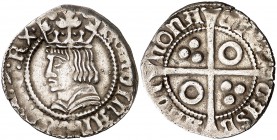 Ferran II (1479-1516). Barcelona. Croat. (Cru.V.S. 1141) (Cru.C.G. 3070a). 3,05 g. Limpiada. MBC+.