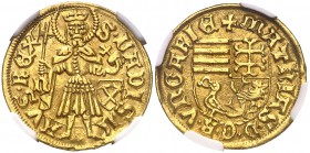 s/d. Hungría. Matías I Corvino (1458-1490). 1 goldgulden. (Fr. 20). AU. Bella. Ex Heritage 08/01/2018, nº 30915. Rara. EBC+.