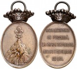 1874. Alfonso XII. Puigcerdà. (Cru.Medalles 326) (Pérez Guerra 751). 17,25 g. 24 x 43 mm. Cobre. Ovalada. Con corona fija. Firmado: Castells. Escasa. ...