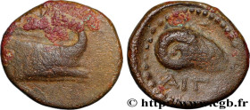 AEGINA - AEGINA ISLAND - AEGINA
Type : Unité 
Date : c. 300-100 AC. 
Mint name / Town : Égine, Aegina 
Metal : copper 
Diameter : 17  mm
Orientation d...