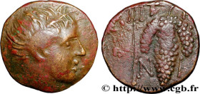 CYCLADES - TINOS ISLAND - TINOS
Type : Unité 
Date : c. 308-288 AC. 
Mint name / Town : Tenos, Cyclades 
Metal : copper 
Diameter : 17  mm
Orientation...
