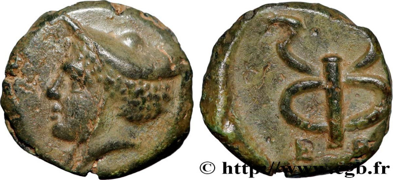 ELLIS ISLANDS - KEPHALLENIA - PALEIS (PALE)
Type : Unité 
Date : c. 370-189 AC. ...