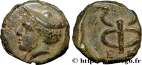 ELLIS ISLANDS - KEPHALLENIA - PALEIS (PALE)
Type : Unité 
Date : c. 370-189 AC. 
Mint name / Town : Paleis, Céphallénie 
Metal : bronze 
Diameter : 10...