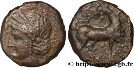 ZEUGITANA - CARTHAGE
Type : Shekel 
Date : c. 215-201 AC. 
Mint name / Town : Zeugitane, Carthage 
Metal : copper 
Diameter : 20,5  mm
Orientation die...