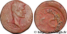 AUGUSTUS
Type : As 
Date : 7 AC. 
Mint name / Town : Rome 
Metal : copper 
Diameter : 28,5  mm
Orientation dies : 5  h.
Weight : 12,31  g.
Rarity : R1...