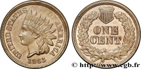 UNITED STATES OF AMERICA
Type : 1 Cent tête d’indien 2e type 
Date : 1863 
Mint name / Town : Philadelphie 
Quantity minted : 49480000 
Metal : copper...