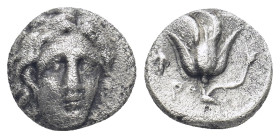 Caria, Rhodes. AR Hemidrachm,(10mm, 1,51 g). Circa 340-316 BC. Obv: Head of Helios facing slightly right. Rev: P - O. Rose. Grape bunch? to left.