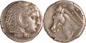 198. SICILE ENTELLA (300-289)
Tétradrachme.
Avers : Tête d’Héraclès à droite. Revers : Cheval et palmier.
Poids : 17,13 g
TB à TTB.