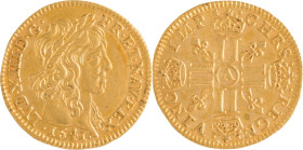 265. Louis XIII (1610-1643)
Demi Louis d’or 1641 Paris. Étoile après « IMP » au revers.
Poids : 3,3 g
G : 57.
TTB à Superbe.
