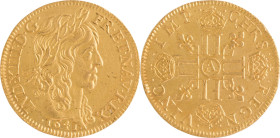 266. Louis XIII (1610-1643)
Louis d’or 1641 Paris.
Poids : 6,7 g
G : 58.
TTB à Superbe.