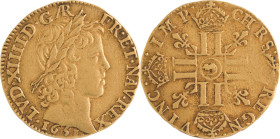 276. Louis XIV (1643-1715)
Louis d’or à la mèche longue 1651 Arras. Frappe décalée.
Poids : 6,7 g
G : 245.
TB à TTB.