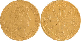 282. Louis XIV (1643-1715)
Louis d’or à la perruque 1687 Paris.
Poids : 6,7 g
G : 249.
TTB.