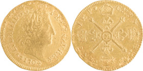 286. Louis XIV (1643-1715)
Louis d’or aux insignes 1704 Toulouse. Réformation.
Poids : 6,6 g
G : 254.
TTB.