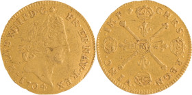 287. Louis XIV (1643-1715)
Demi Louis d’or aux insignes 1704 Toulouse. Réformation.
Poids : 3,3 g
G : 242.
TB.