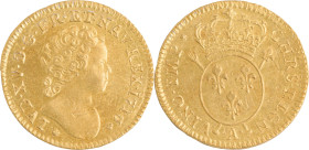 288. Louis XV (1715-1774)
Louis d’or aux insignes 1716 Paris. Réformation.
Poids : 8,1 g
G : 344.
Superbe.