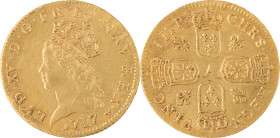 291. Louis XV (1715-1774)
Louis d’or de Noailles 1717 Paris.
Poids : 12,2 g
G : 344.
TTB. (Brossé).