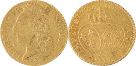 306. Louis XV (1715-1774)
Louis d’or à la vieille tête 1772 Paris 2e
 semestre.
Poids : 8,1 g
G : 342.
TB à TTB.