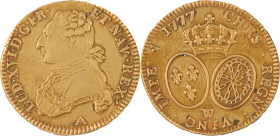 313. Louis XVI (1774-1793)
Double Louis d’or au buste drapé 1777 Lille.
Poids : 16,2 g
G : 362.
TTB.