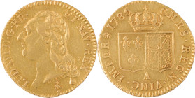 315. Louis XVI (1774-1793)
Louis d’or au buste nu 1785 Paris 1er semestre. Frappe soignée.
Poids : 7,6 g
G : 361.
TTB à Superbe.
