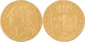 327. Louis XVI (1774-1793)
Louis d’or au buste nu 1792 Toulouse.
Poids : 7,5 g
G : 361.
TB-TTB