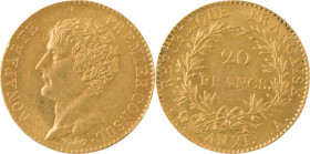 334. Consulat Bonaparte (1799-1804)
20 Francs or An XI, Paris.
Poids : 6,44 g
G : 1020.
Superbe.