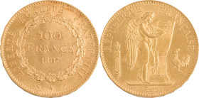 395. IIIe République
100F 1887 A : Paris.
Poids : 32,23 g
G : 1137 (234 exemplaires).
TTB à Superbe.