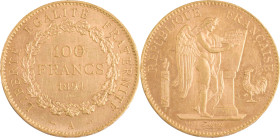 400. IIIe République
100F or Type Génie 1894 A : Paris.
Poids : 32,26 g
G : 1137 (143 exemplaires).
TTB.