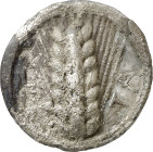 (540-510 a.C.). Italia. Metaponto. Tridracma. (S. 235 var) (CNG. I, 1027). 7,75 g. (MBC-).