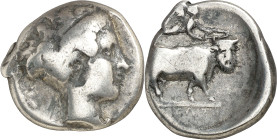 (395-385 a.C.). Italia. Neapolis. Didracma. (S. 299 var) (CNG. I, 449). 6,86 g. BC+.