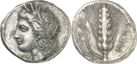 (330-290 a.C.). Italia. Metaponto. Estátera. (S. falta) (CNG. I, 1063). Muy escasa. 7,37 g. MBC+.