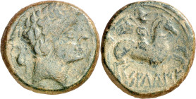 Salduie (Zaragoza). As. (FAB. 306) (ACIP. 1516). 12,04 g. MBC-.
