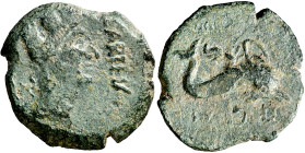 Carteia (San Roque). Semis. (FAB. 670) (ACIP. 2609). 4,23 g. MBC.