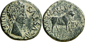 Octavio Augusto. Celsa (Velilla de Ebro). As. (FAB. 809) (ACIP. 3164c). 12,03 g. MBC.