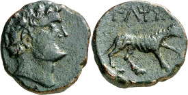Iltirta (Lleida). As. (FAB. 1475) (ACIP. 1269). 9,06 g. MBC.