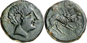 Iltirta (Lleida). As. (FAB. 1477) (ACIP. 1271). 9,21 g. MBC/MBC-.